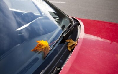 How to Select the Best Windshield Glass for Your Replacement Needs